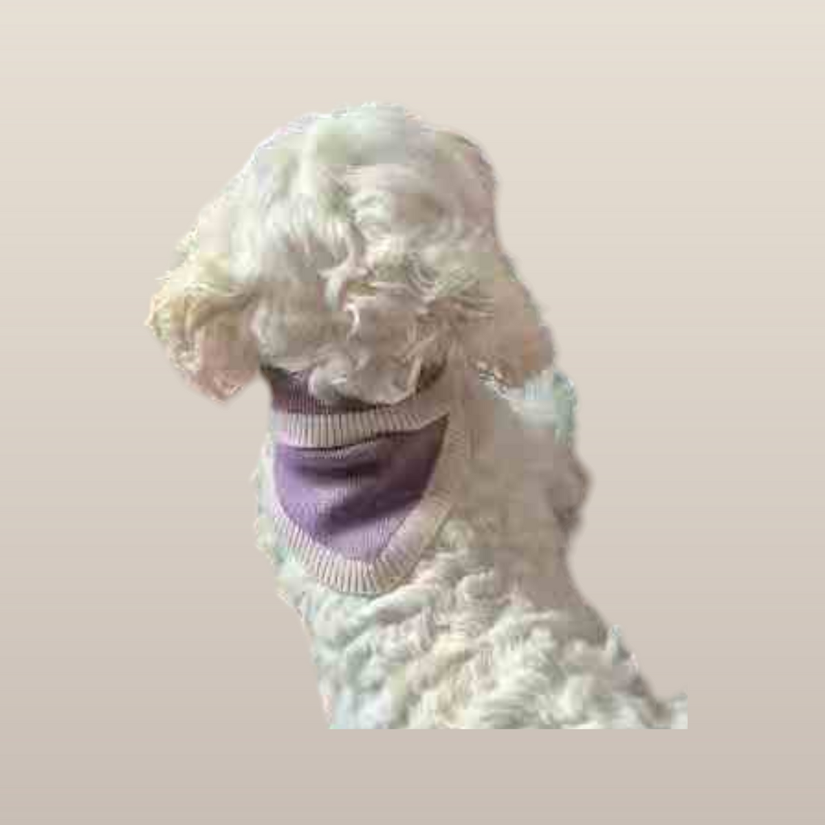 Chalky Pet bandana - Dusty Rose