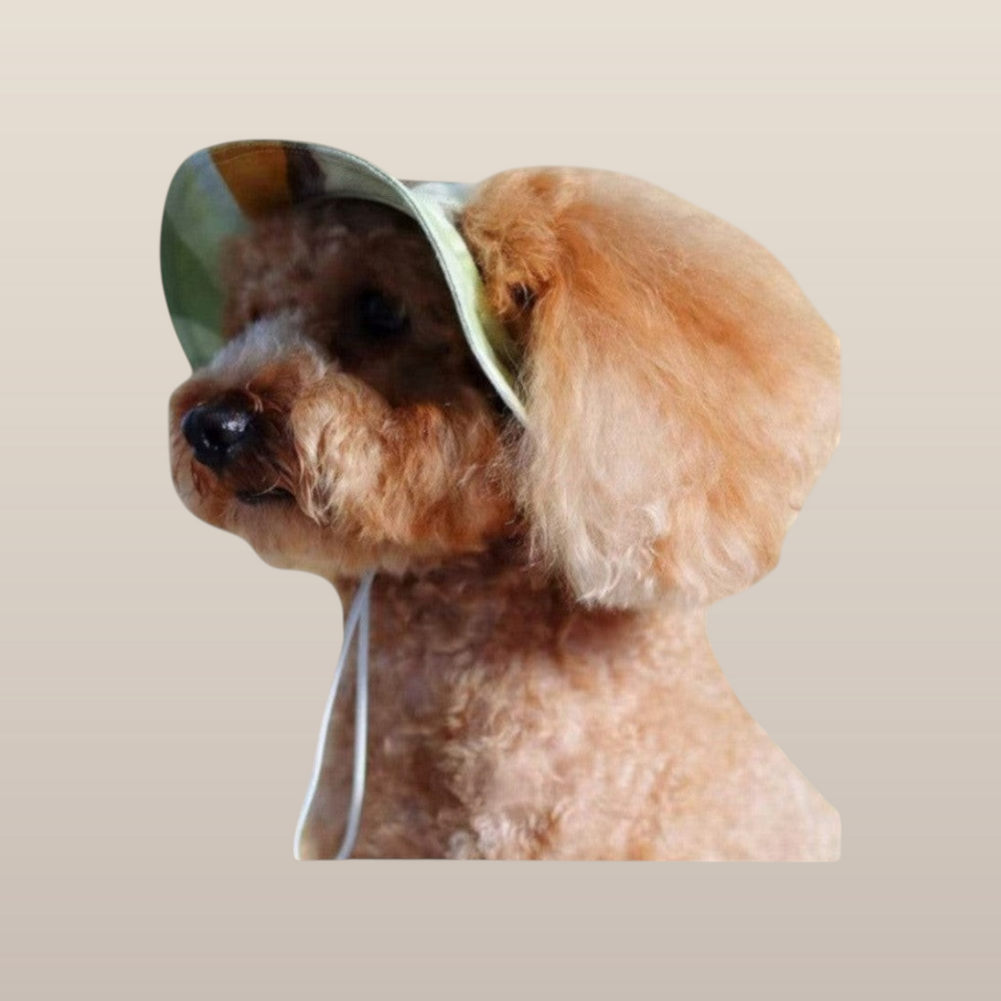 Ochre Pet Bucket Hat
