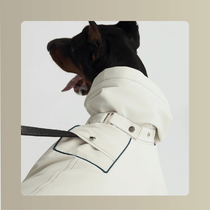 All-Weather_Cape__Four-Leg_Suit_Set_dograincoat