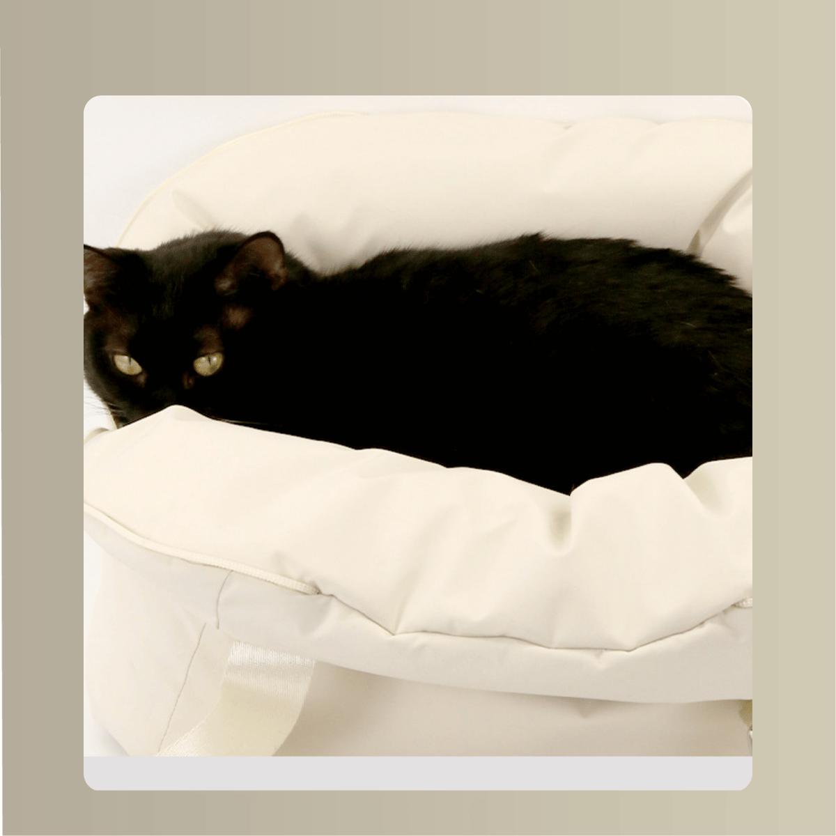 Cloud Comfy Pet Bag