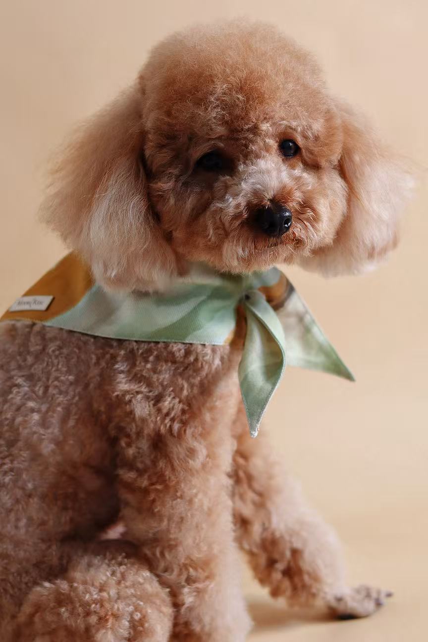 Ochre Pet bandana