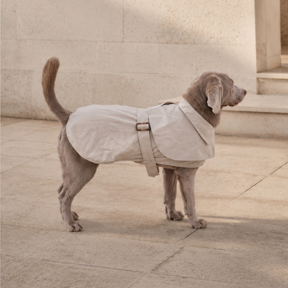 Queline Waterproof Trenchcoat