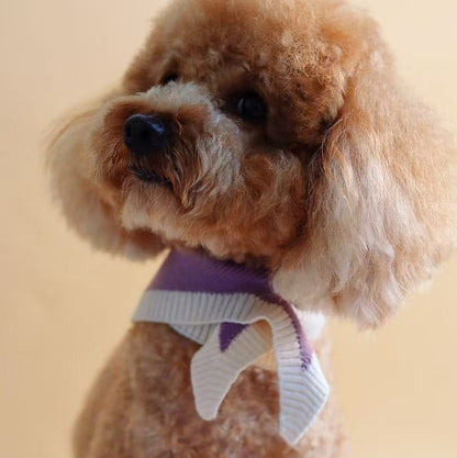 Chalky Pet bandana