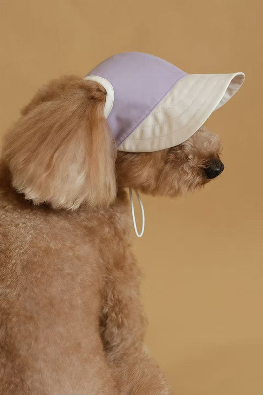 Chalky Hat – UV & Rain Protection for Pets