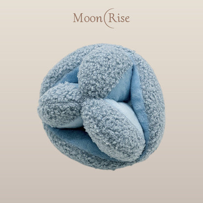 Large Snuffle Ball with Plush and Squeaky