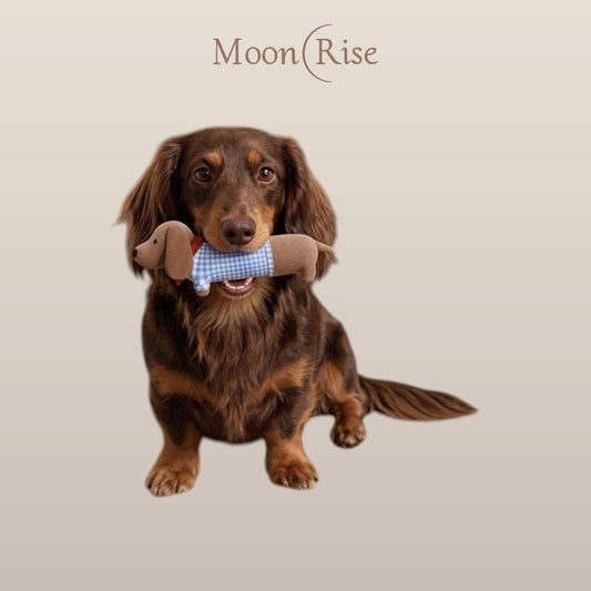 Sausage dog toy