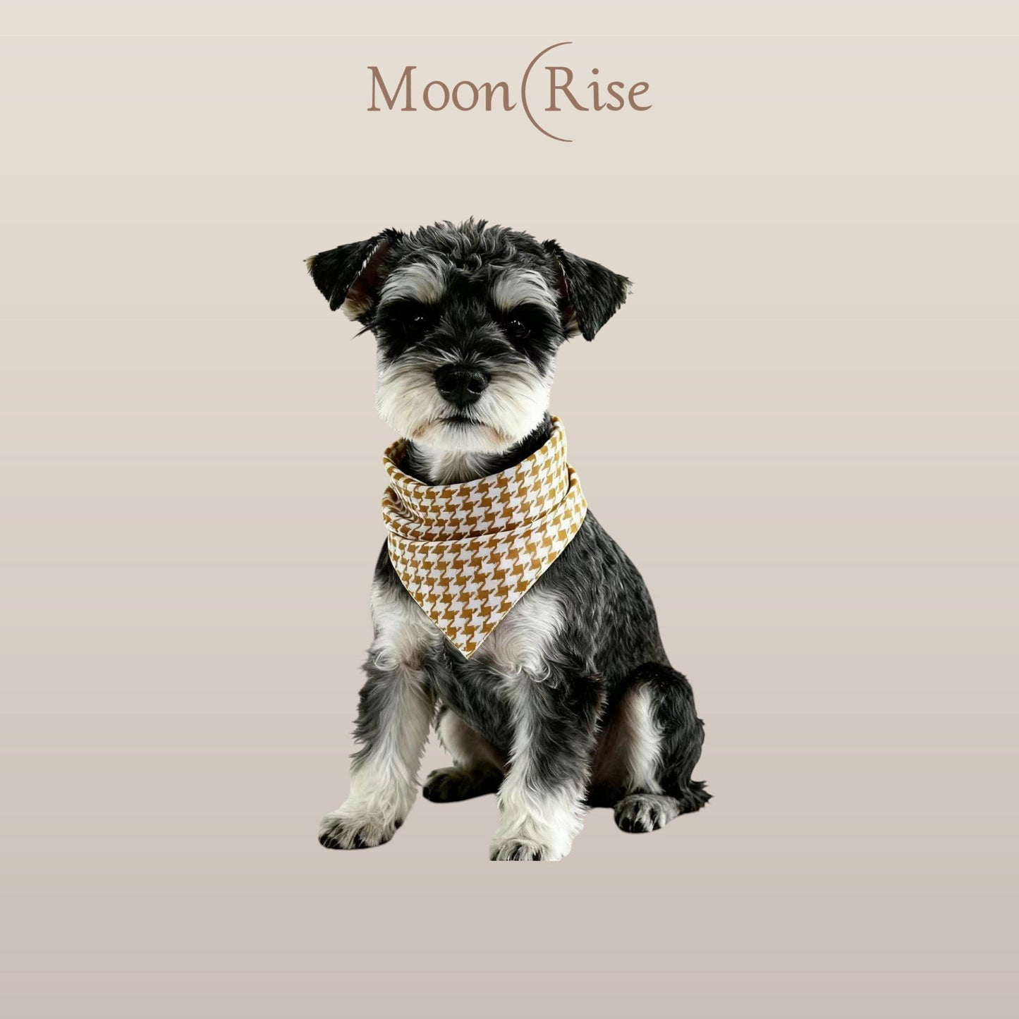 Gramme Pet Bandana