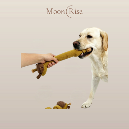 MoonRise 棕色長頸鹿造型絨毛拉扯玩具，一隻拉布拉多犬正與主人進行拔河遊戲