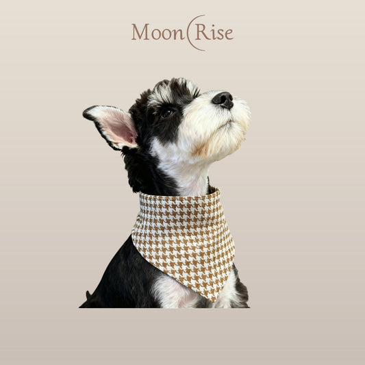 Gramme Pet Bandana