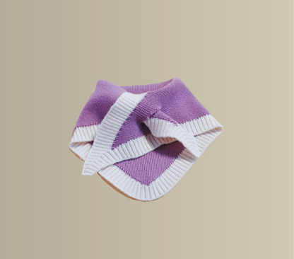 Purple_slipin_bandana_for_pets