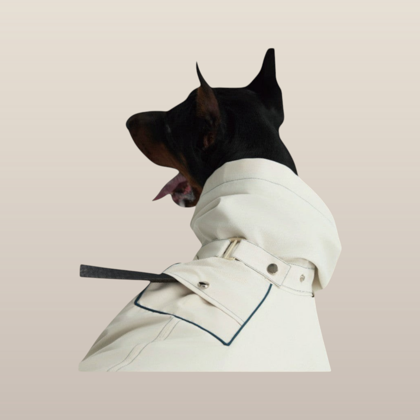 Lulu Ultra-soft Raincoat - White