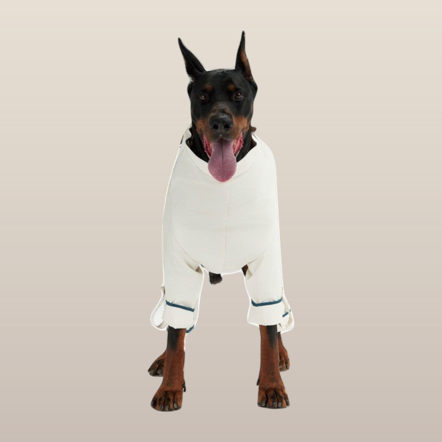 Lulu After-Rain Pants for Large Dogs - White