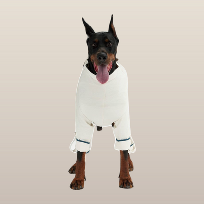 Lulu After-Rain Pants for Large Dogs - White