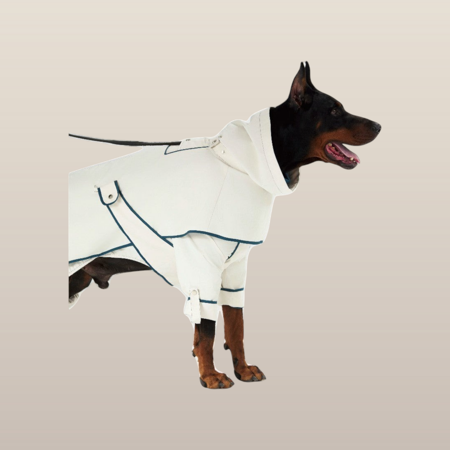Lulu After-Rain Pants for Large Dogs - White