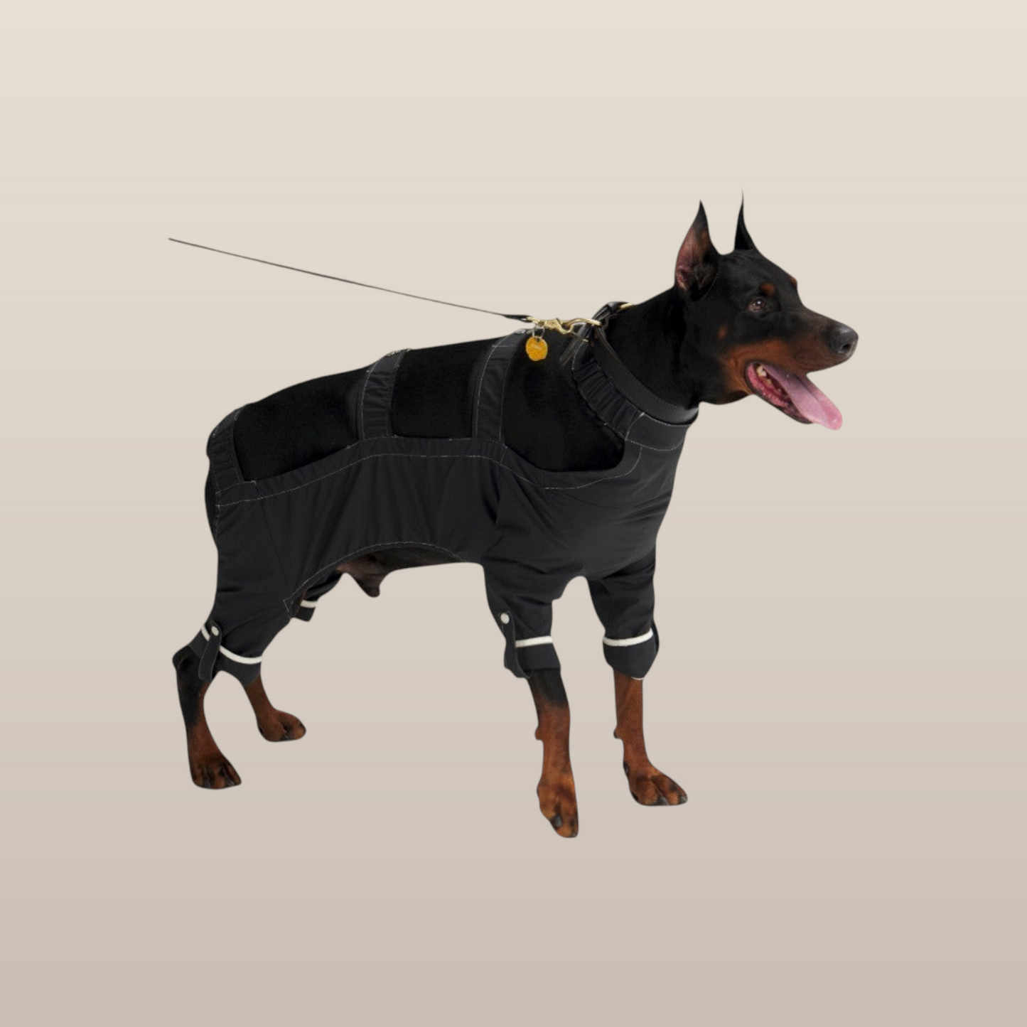 Lulu After-Rain Pants for Large Dogs - Black