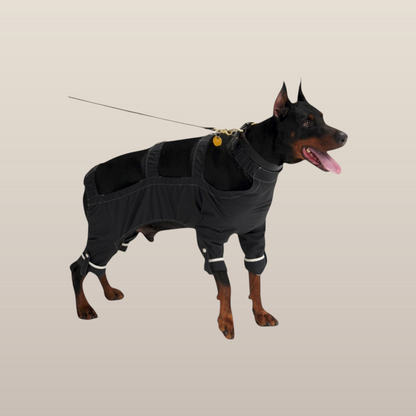 Lulu After-Rain Pants for Large Dogs - Black
