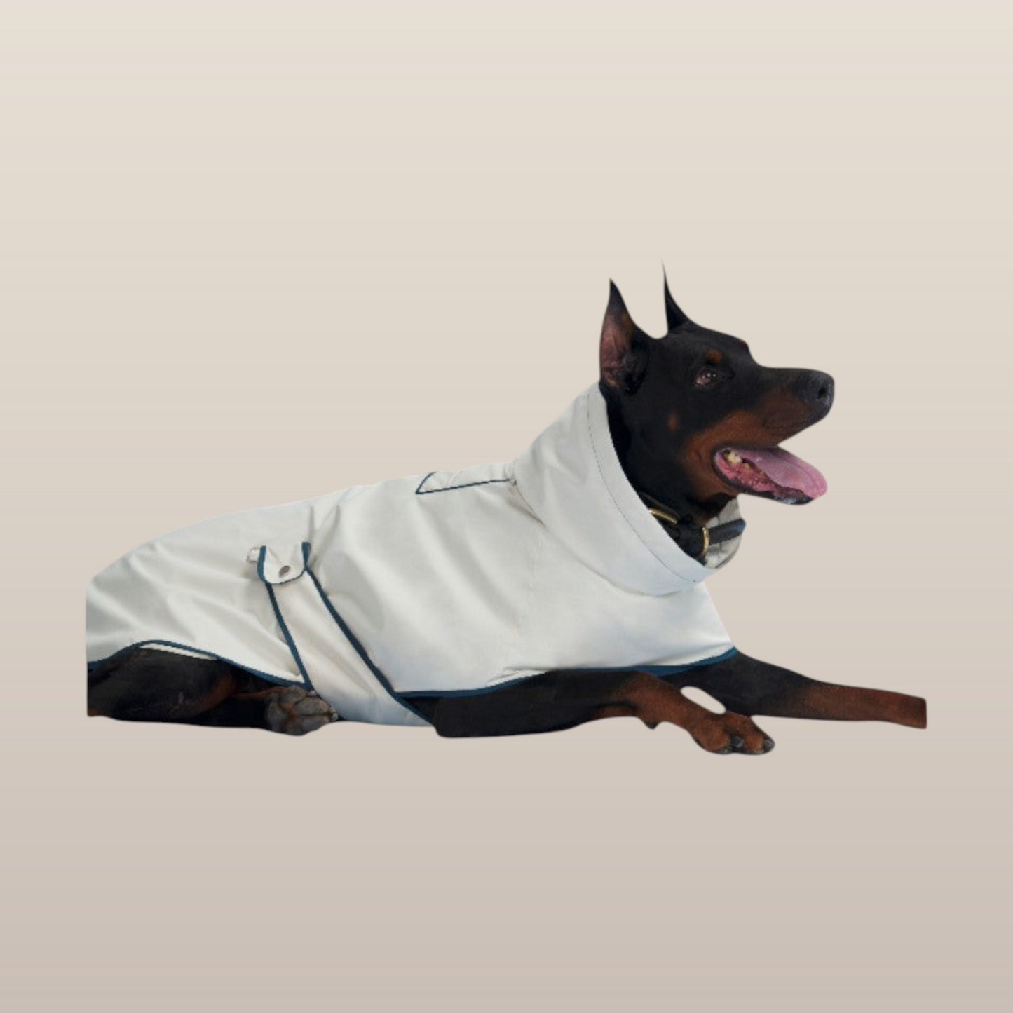 Lulu Ultra-soft Raincoat - White