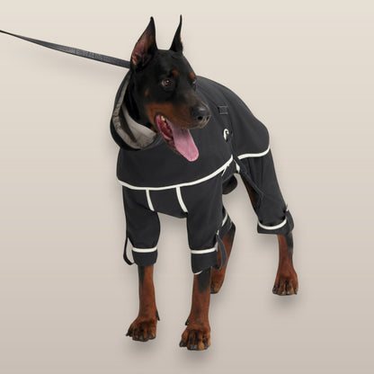 Lulu After-Rain Pants for Large Dogs - Black