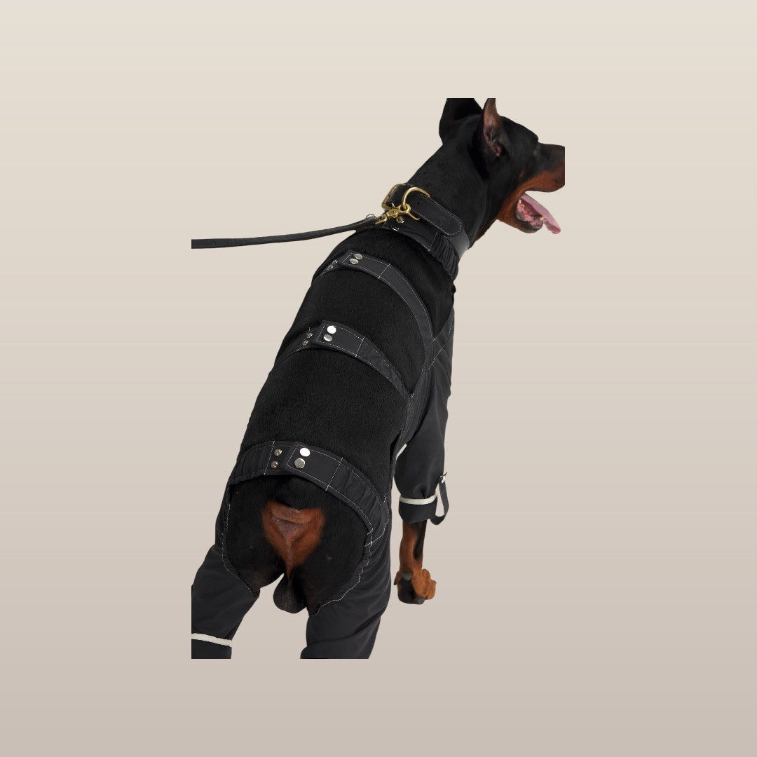 Lulu After-Rain Pants for Large Dogs - Black