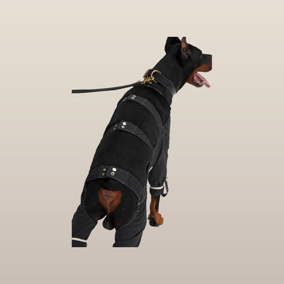 Lulu After-Rain Pants for Large Dogs - Black