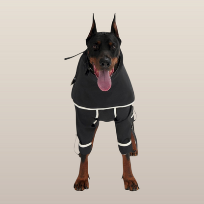 Lulu After-Rain Pants for Large Dogs - Black