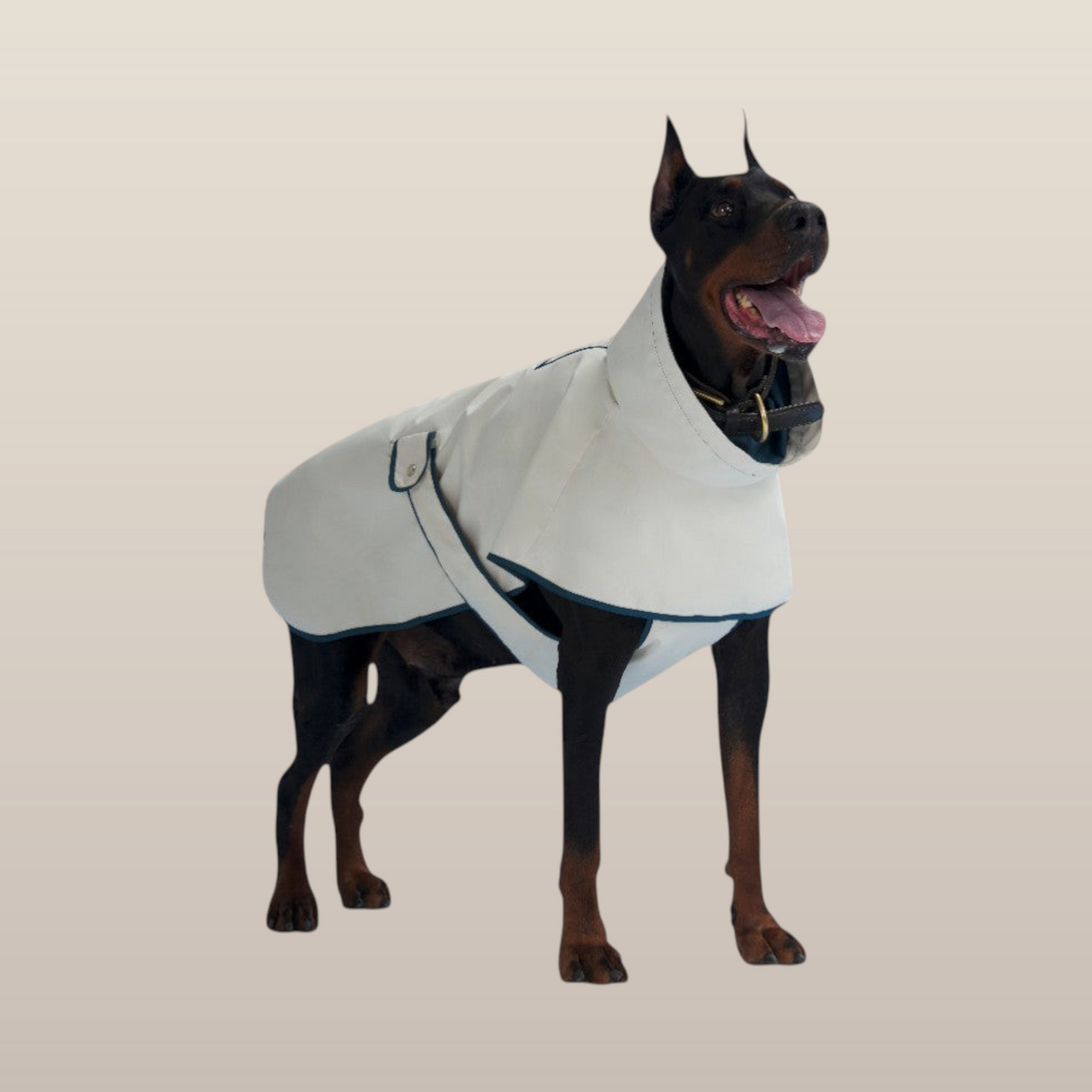 Lulu Ultra-soft Raincoat - White