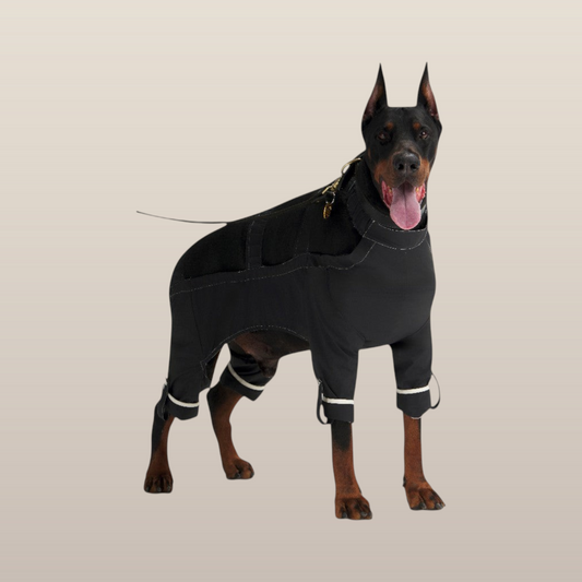 Lulu After-Rain Pants for Large Dogs - Black