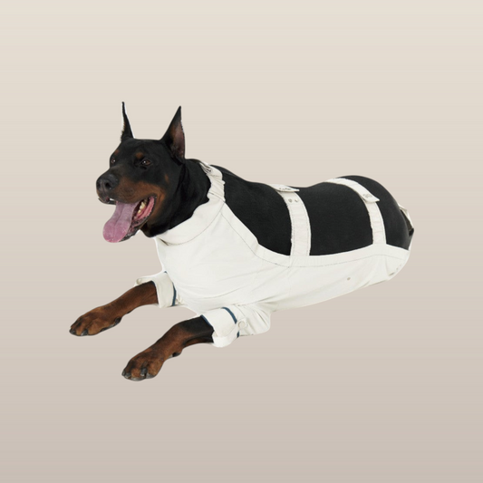 Lulu After-Rain Pants for Large Dogs - White