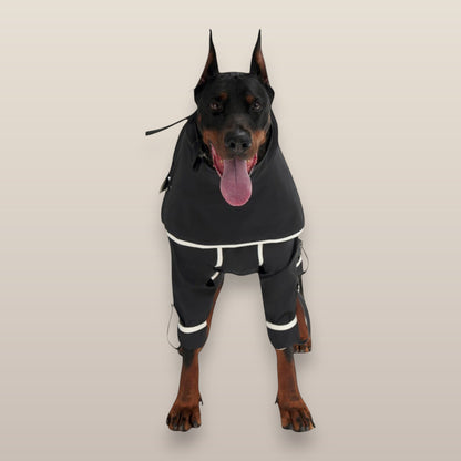 Lulu After-Rain Pants for Large Dogs - Black