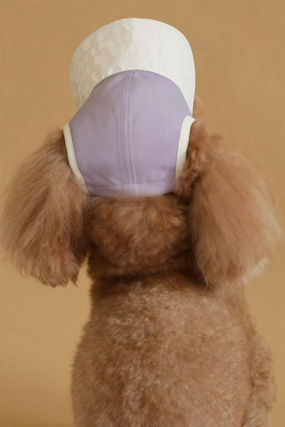 Chalky Hat – UV & Rain Protection for Pets