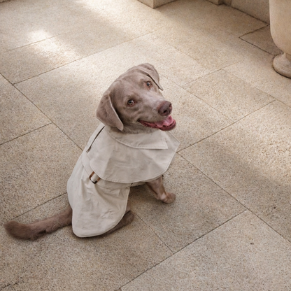 Queline Waterproof Trenchcoat