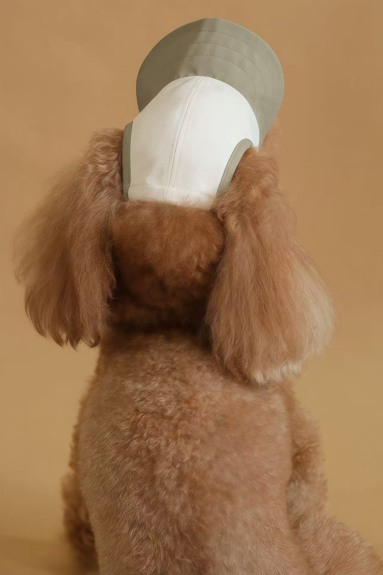 Chalky Hat – UV & Rain Protection for Pets