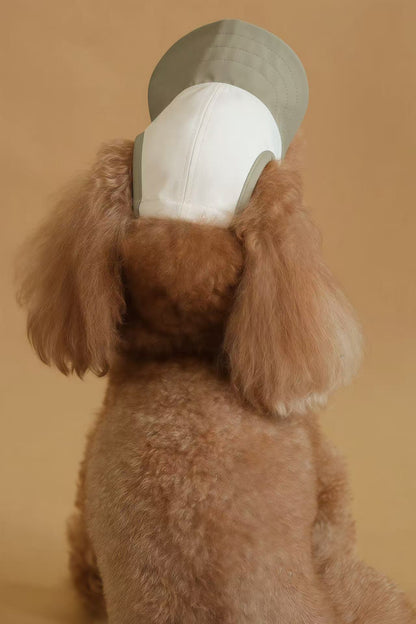 Chalky Hat – UV & Rain Protection for Pets