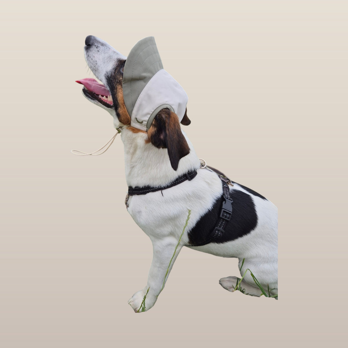 Chalky Hat – UV & Rain Protection for Pets - Olive Mist