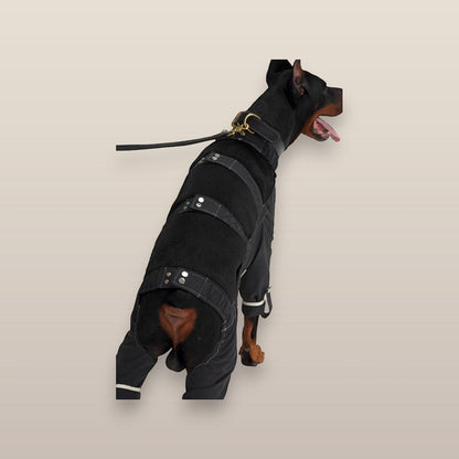 MoonRise black Lulu After-Rain pants on a Doberman dog, featuring adjustable straps and white trim details.