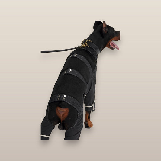 MoonRise black Lulu After-Rain pants on a Doberman dog, featuring adjustable straps and white trim details.