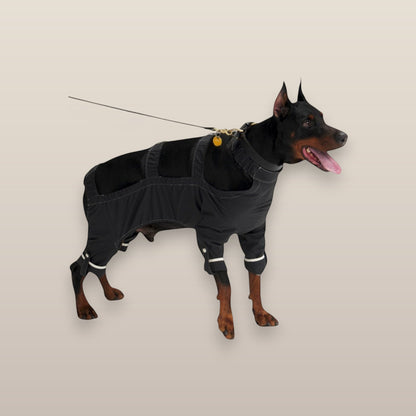MoonRise black waterproof Lulu After-Rain pants worn by a Doberman dog with reflective leg trim