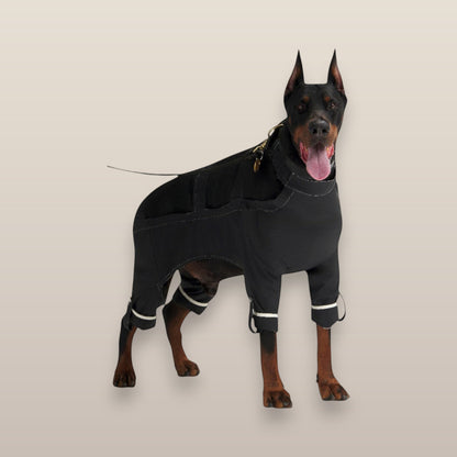 MoonRise Lulu After-Rain black waterproof pants for large dogs worn by a Doberman
