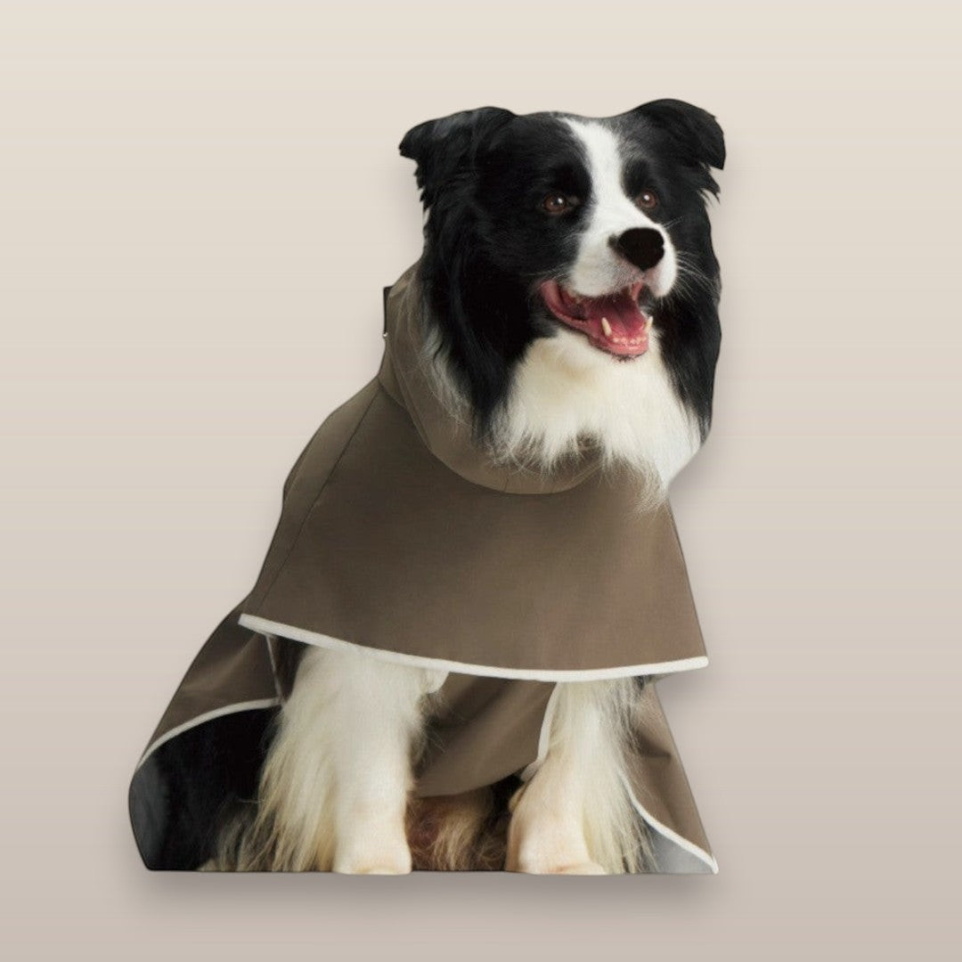 MoonRise Lulu ultra-soft raincoat in French Taupe worn by a black and white Border Collie dog