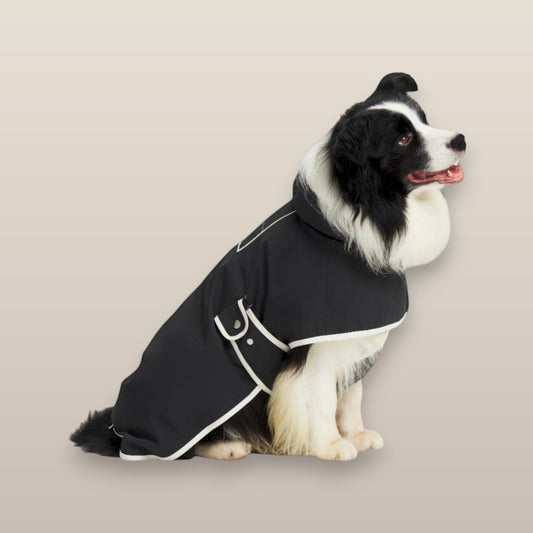 MoonRise Lulu Ultra-soft Raincoat in ink black with white trim worn by a black and white border collie dog