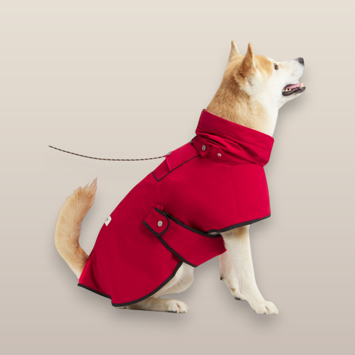 MoonRise Lulu ultra-soft red dog raincoat with black trim worn by a Shiba Inu dog in profile view