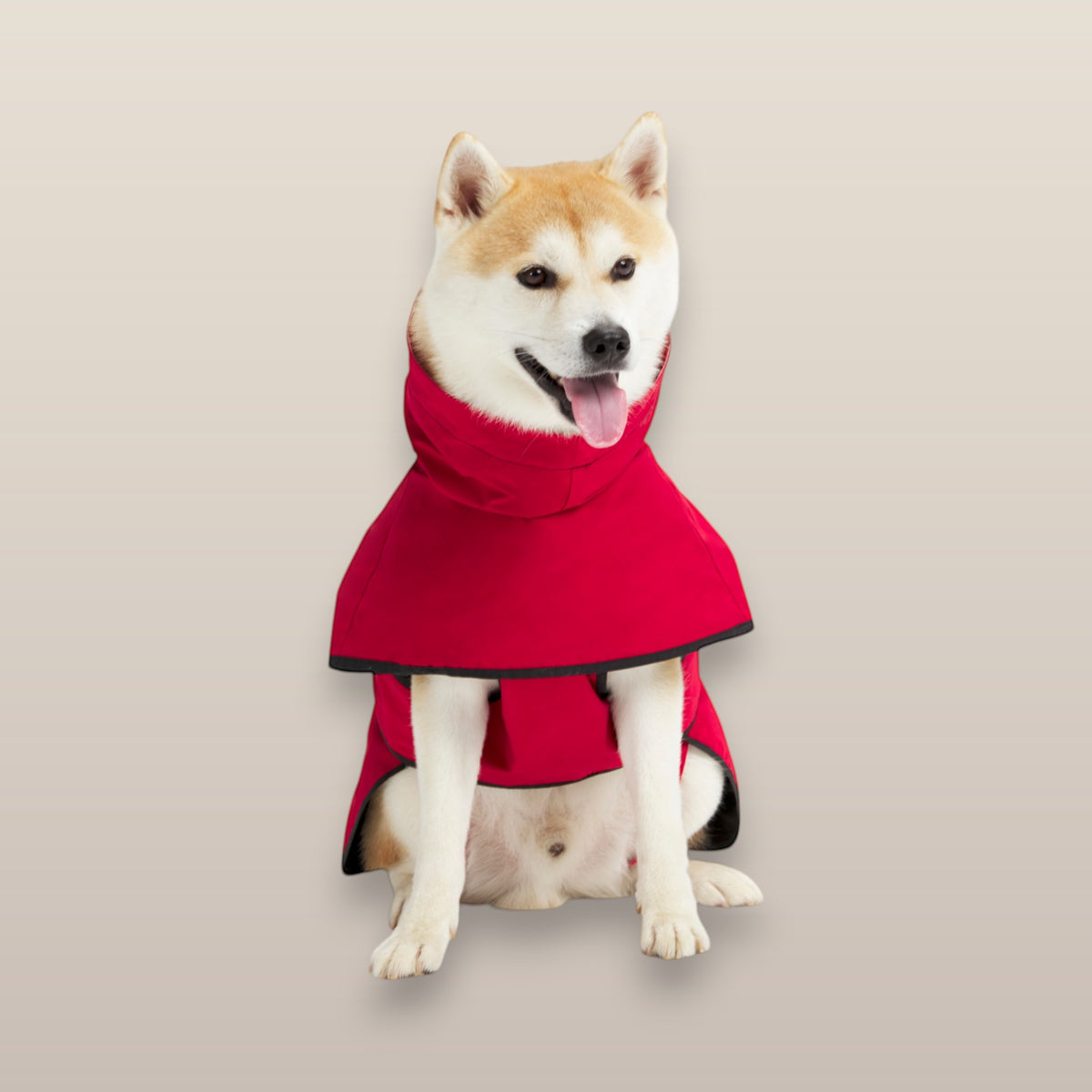MoonRise Lulu ultra-soft red dog raincoat worn by a Shiba Inu sitting against a neutral background