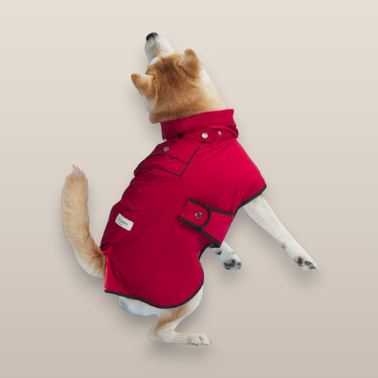 MoonRise Lulu ultra-soft red dog raincoat with black trim worn by a Shiba Inu jumping against a neutral background