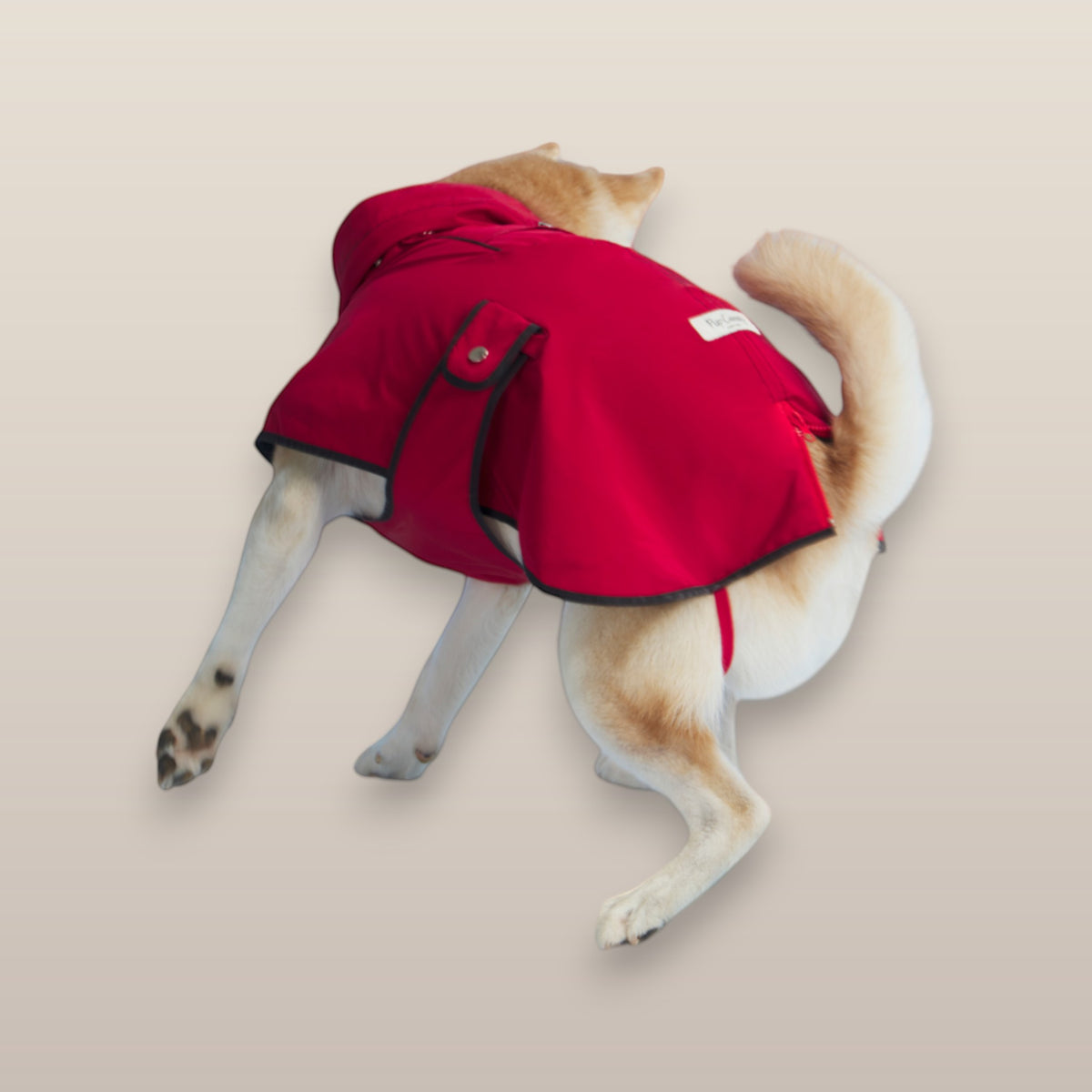 MoonRise Lulu ultra-soft red dog raincoat with black trim worn by a Shiba Inu seen from the back
