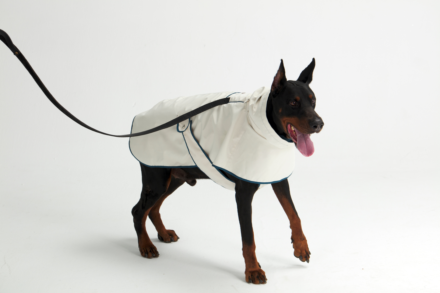 All-Weather Cape & Four-Leg Suit Set